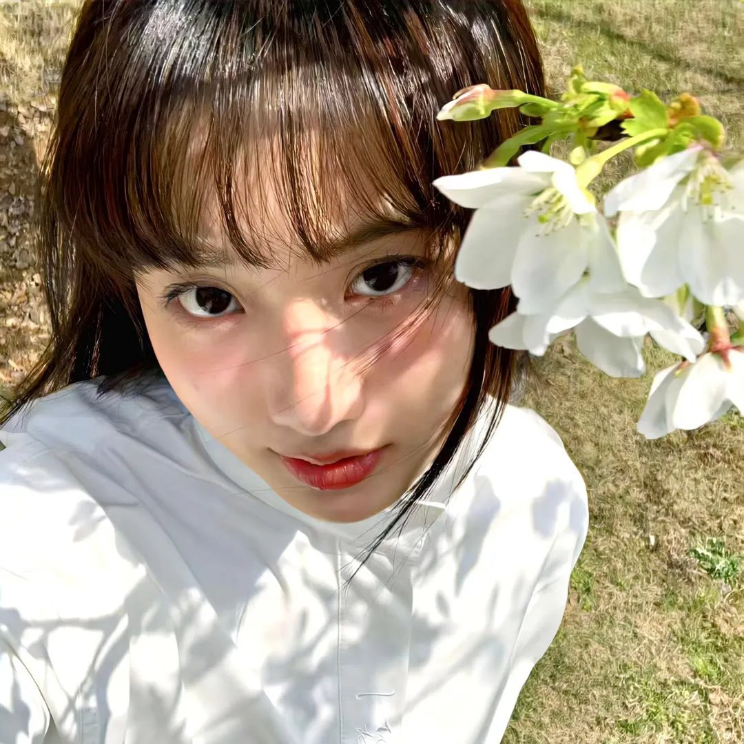记忆的芬芳